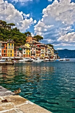 Colorful Portofino Harbour