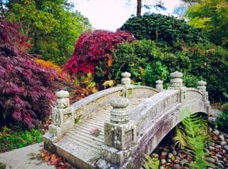 Arched Stone Bridge in Autumnal Splendor