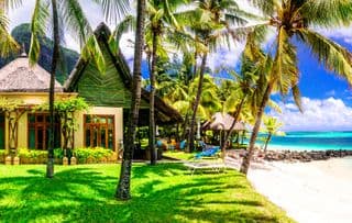 Beneath the Palm Trees of Mauritius