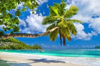 Secluded Paradise on the Seychelles
