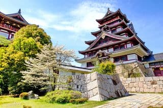Elegant Fushimi Momoyama Castle in Springtime Bloom