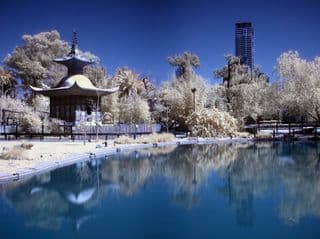 Chinese Pavilion Amidst Urban Oasis