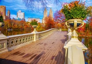 Bow Bridge Autumn Splendor