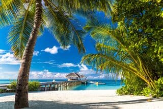 Tropical Paradise Awaits