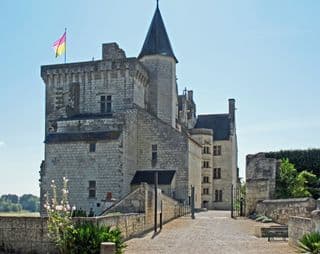 Medieval Castle with Pink and Yellow Flag