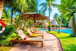 Tropical Oasis at the Resort