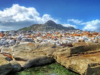 Rocky Shoreline at Cape Point