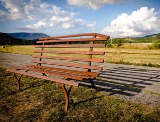 Weathered Rustic Bench Amid Nature's Beauty