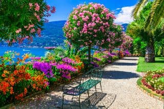 Lakefront Floral Walkway
