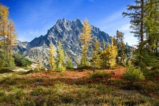 Autumnal Splendor at Mt. Stuart