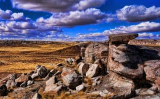 Arizona High Desert Plateau