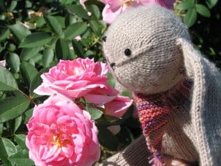 Knitted Bunny with Scarf Amongst Pink Roses