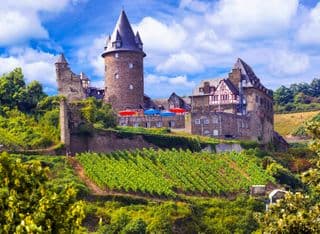 Medieval Castle amidst Vineyards in Rhine Valley, Germany