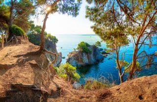 Secret Cove Amidst the Pines
