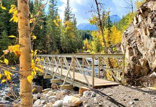 Autumnal Bridge Crossing