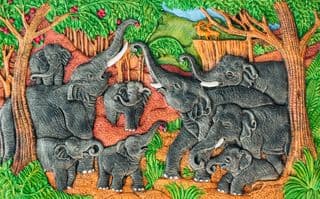 Thai Elephant Gathering in Forest