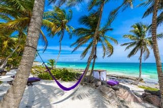 Hammock Between Palm Trees at Riviera Maya