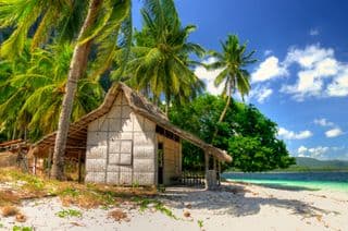 Coconut Palm Thatched Hut by the Beach