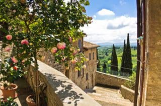 Roses in San Gimignano Courtyard