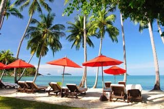 Tropical Paradise Lounge Chairs under Palm Trees