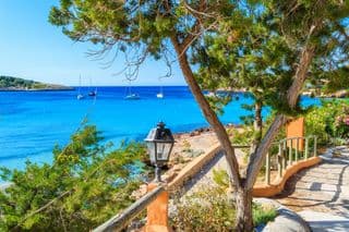 Cypress Trees by the Turquoise Sea of Ibiza