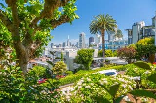 Lush Greenery of Lombard Street in San Francisco