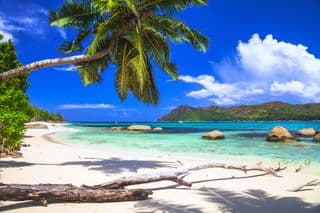 Secluded Tropical Paradise