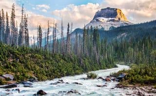 Rocky Peak in Yoho National Park