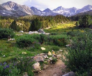 Summer in Little Lakes Valley