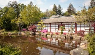 Traditional Japanese Tea House amidst Spring Blossoms