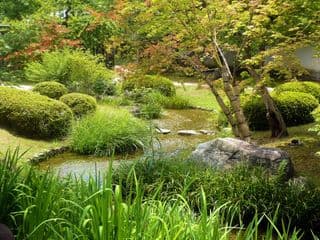 Tranquil Stream in Koko-en Garden, Kyoto