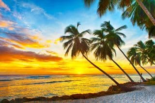 Sunset Serenade at the Caribbean Coast