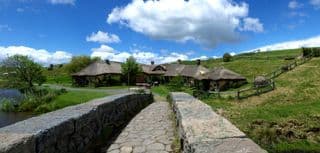 Thatched Roofs of Hobbiton