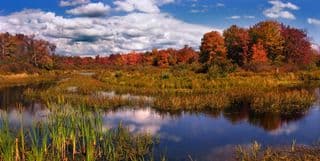 Autumn's Touch at Mill Pond