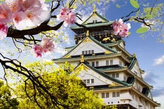 Osaka Castle in Cherry Blossom Season