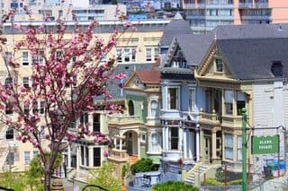 Painted Ladies of Alamo Square