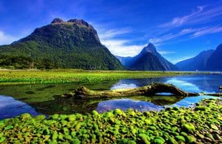 Fiordland National Park's Mirror Lakes Reflection