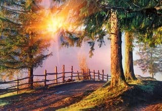 Sunrise in the Carpathians